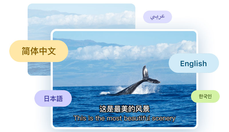 快转字幕