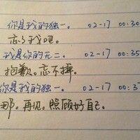光明圣骑