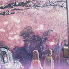 蜜瓜布丁