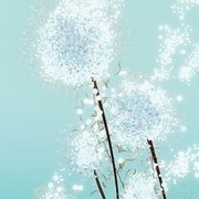 彩虹糖豆