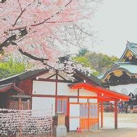 虚空审判者