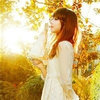 Dream追风