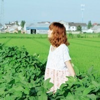 收藏专家