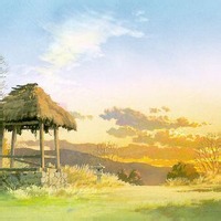 荒野独狼