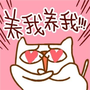 寒冥巫师