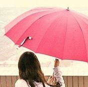 雨后茶